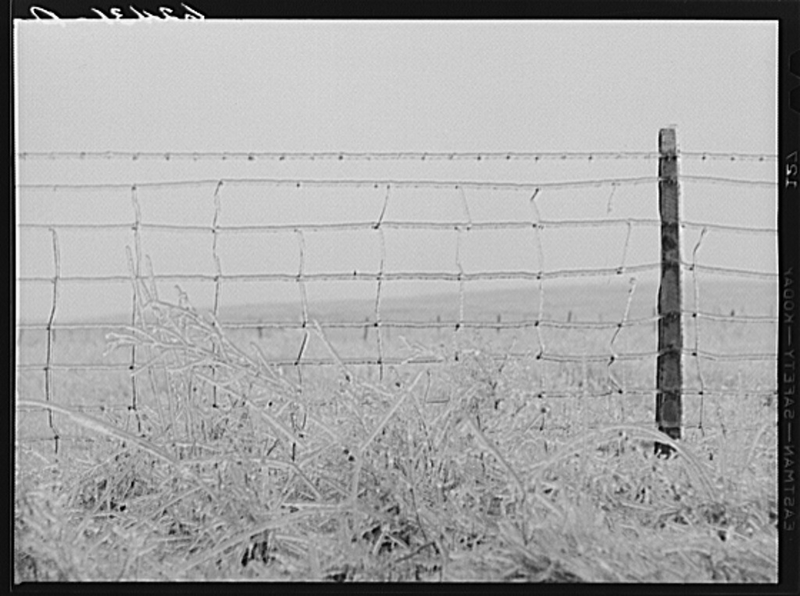 Illustration for article titled Barbed Wire